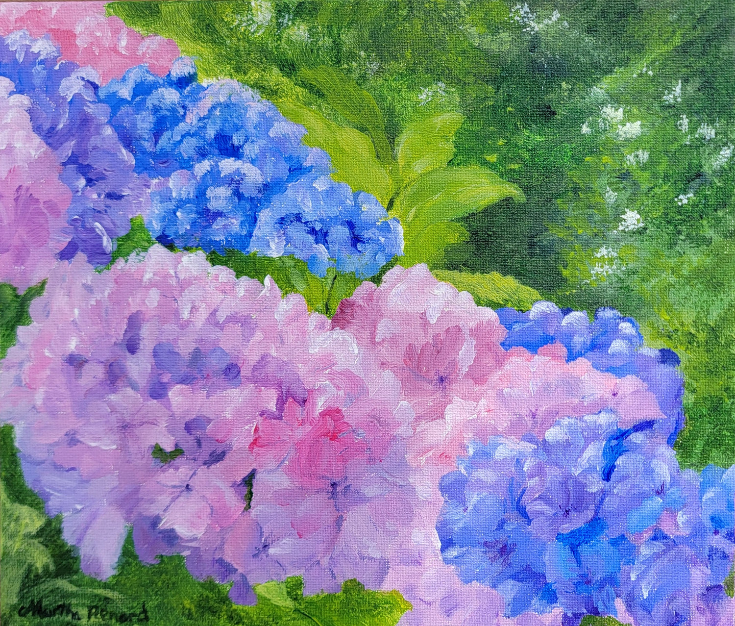 Flowers In My Garden