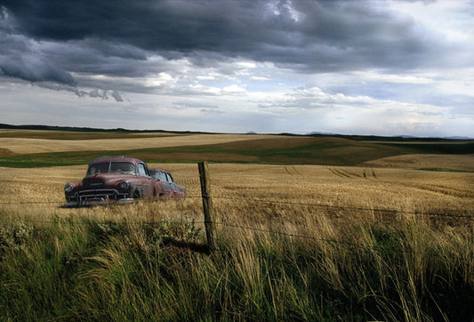 Abandoned in a Field