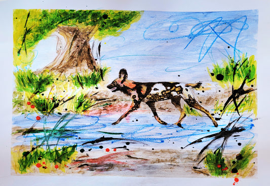 Wild Dog of Africa