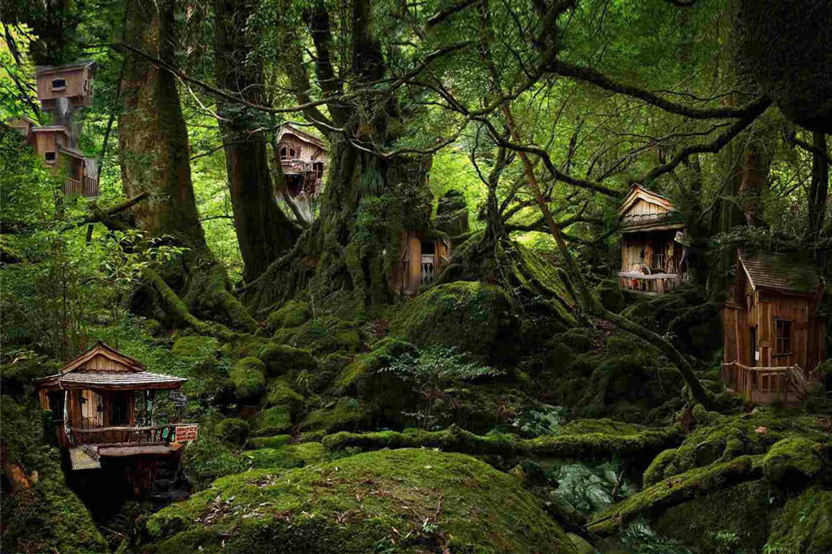 Elf Forest Village