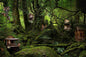 Elf Forest Village
