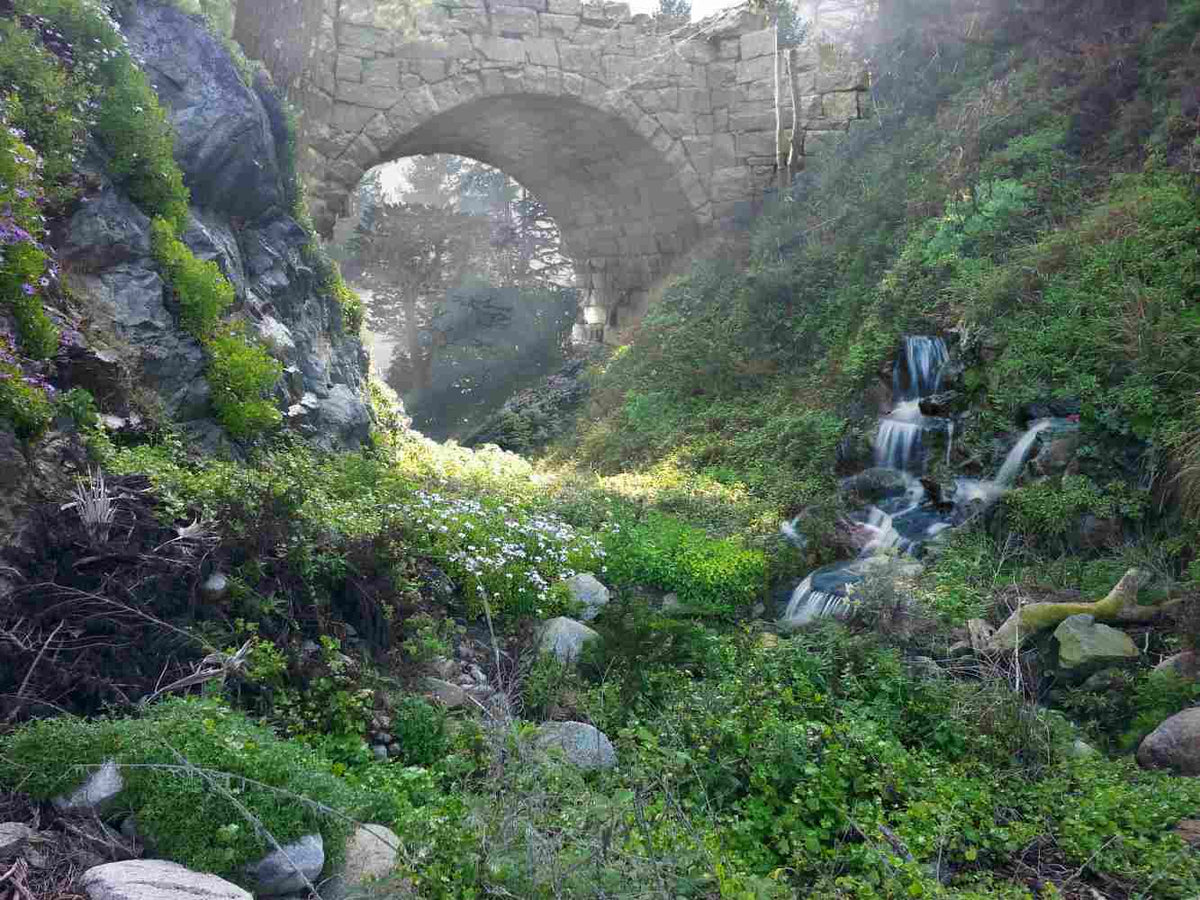 Under the bridge