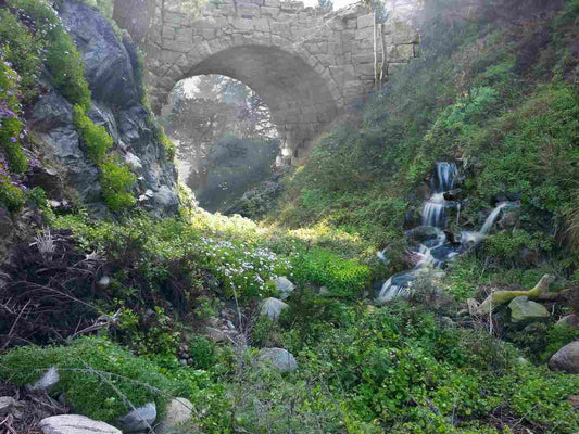 Under the bridge